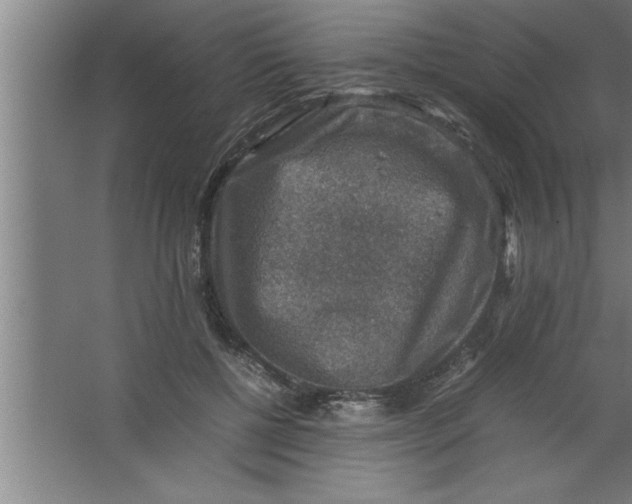 X0000067460552200604281831