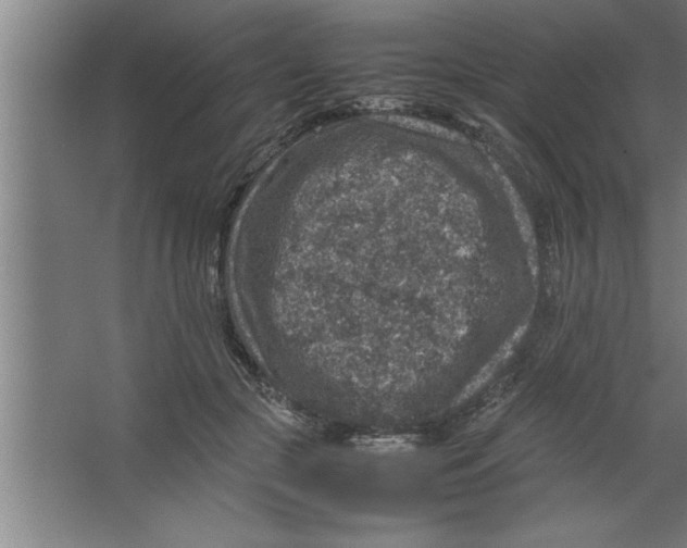 X0000067460553200604281831