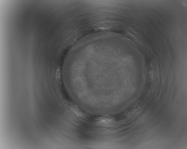 X0000067460555200604281831