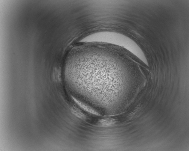 X0000067460556200604281831