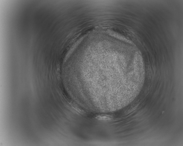 X0000067460557200604281831