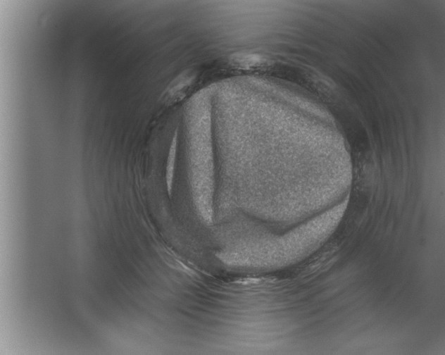 X0000067460558200604281831