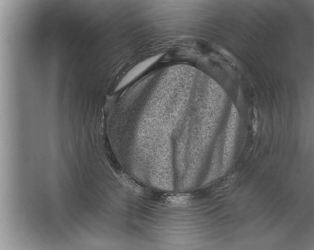 X0000067460560200604281831