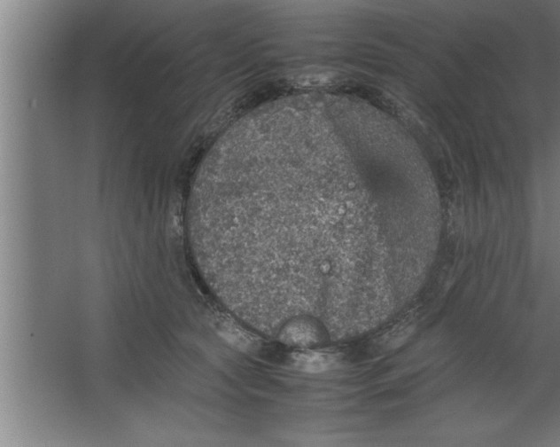 X0000067460561200604281831