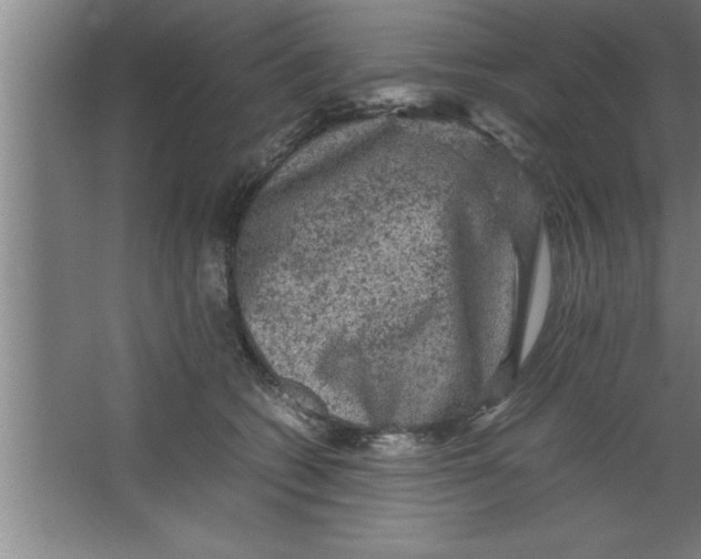 X0000067460562200604281831