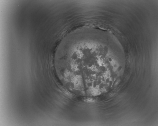 X0000067460565200604281831