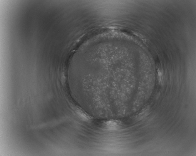 X0000067460566200604281831