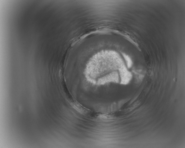 X0000067460568200604281831