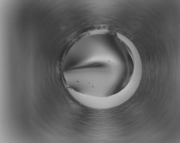 X0000067460570200604281831