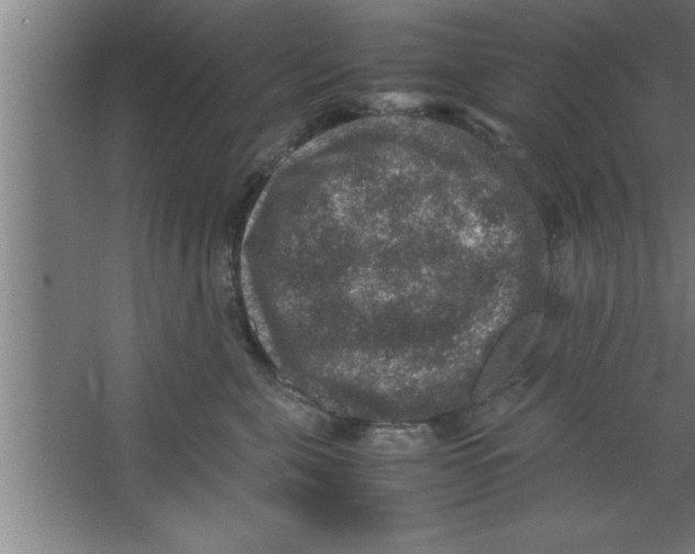 X0000067460571200604281831