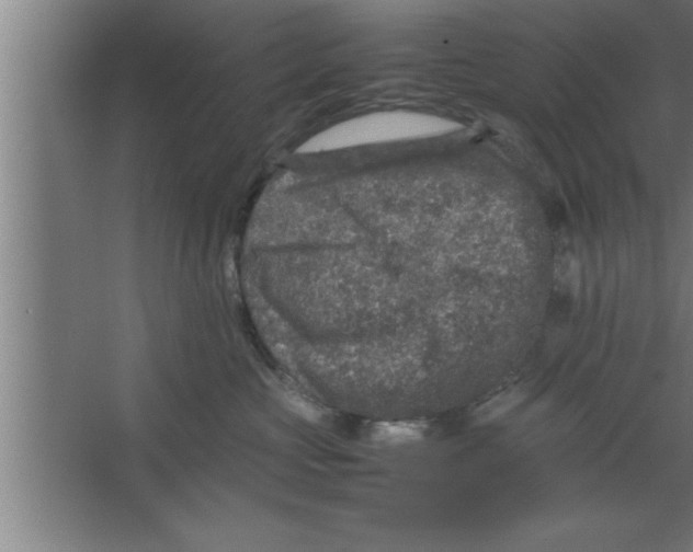 X0000067460573200604281831