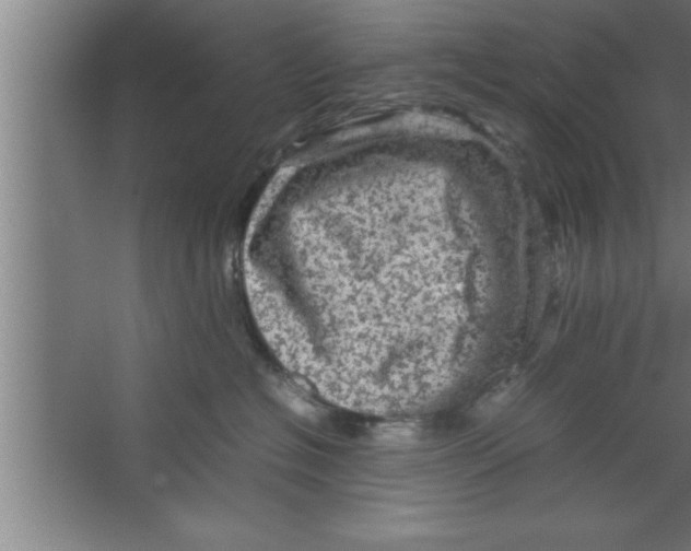 X0000067460574200604281831