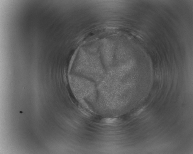 X0000067460575200604281831