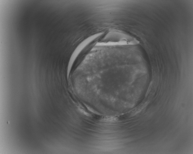 X0000067460576200604281831