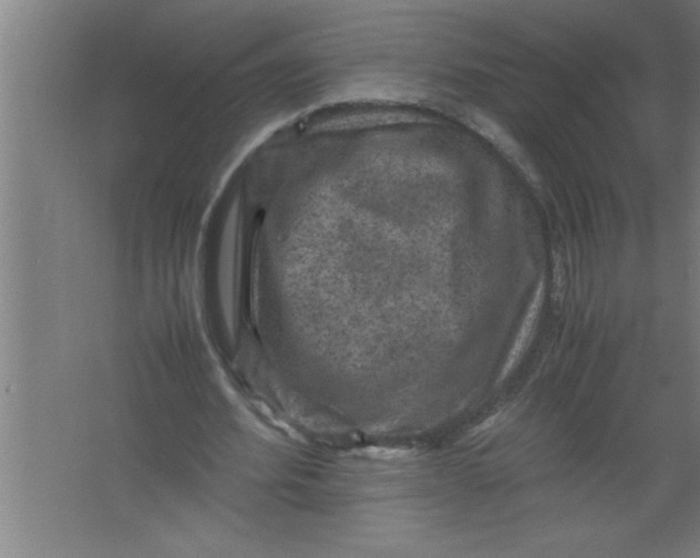 X0000067460580200604281830