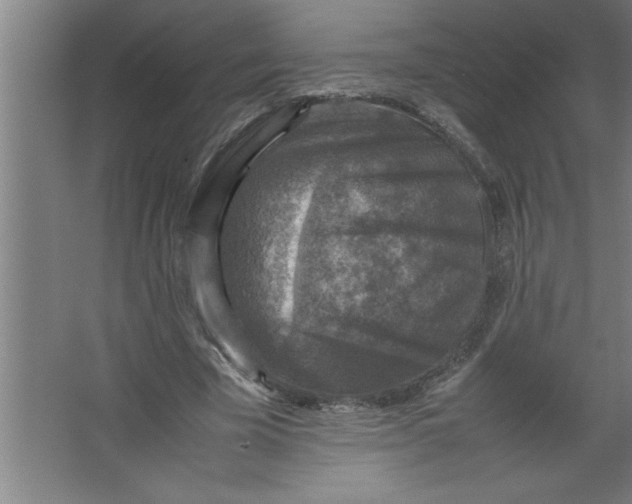 X0000067460585200604281830