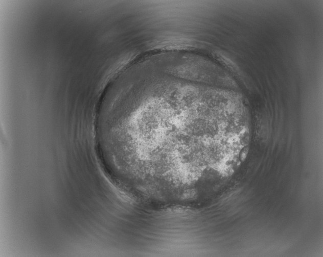 X0000067460586200604281830