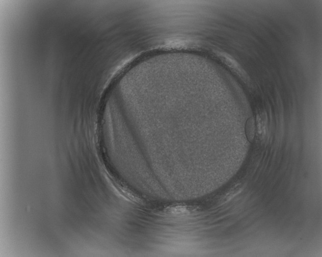 X0000067460588200604281830