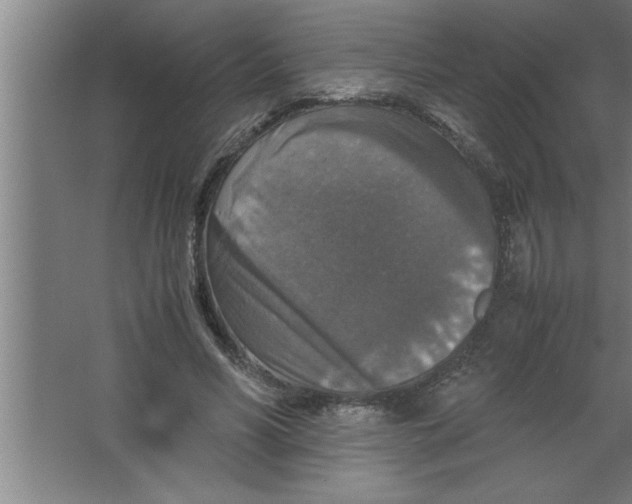 X0000067460590200604281830