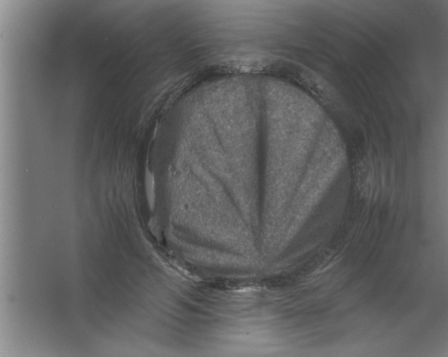 X0000067460594200604281830