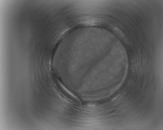 X0000067460596200604281830