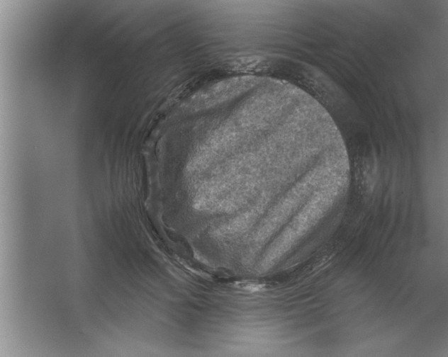 X0000067460602200604281830