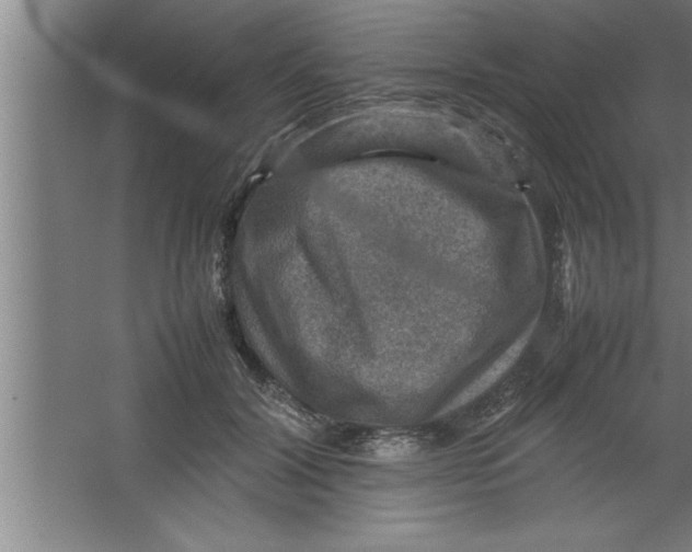 X0000067460604200604281830