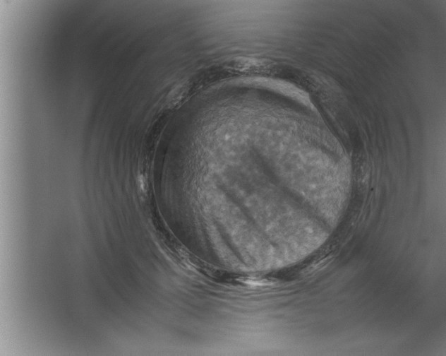 X0000067460607200604281830