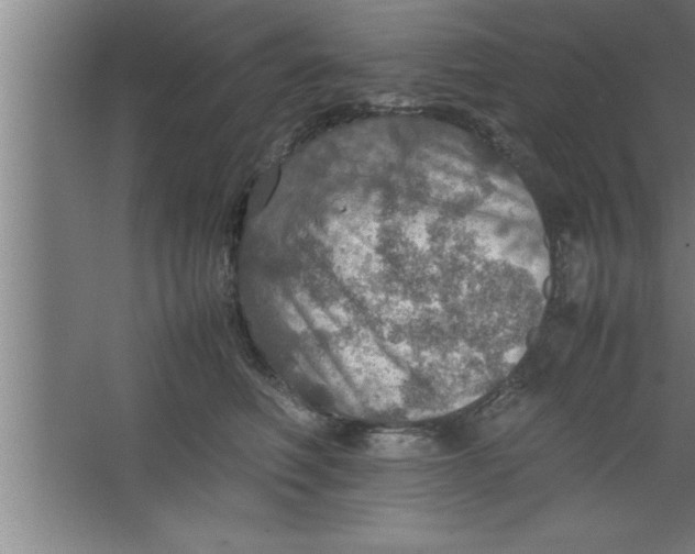 X0000067460614200604281830