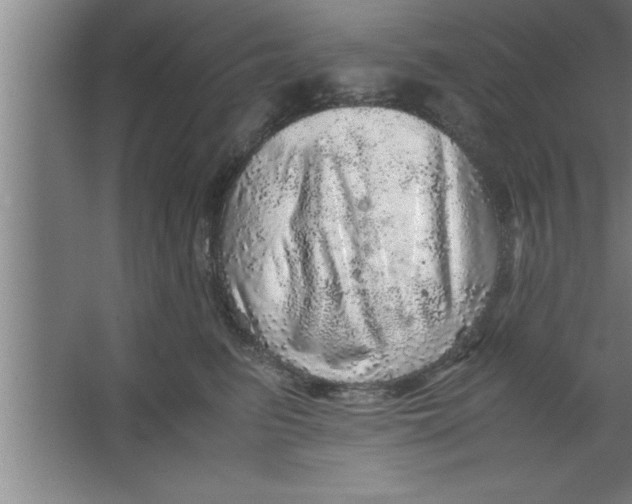 X0000067460615200604281830