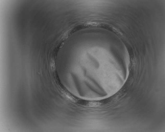 X0000067460617200604281830