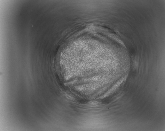 X0000067460619200604281830