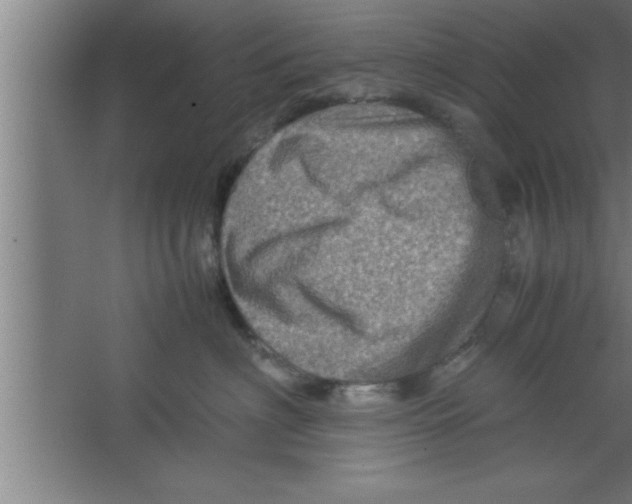 X0000067460622200604281830