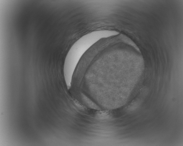 X0000067460624200604281830