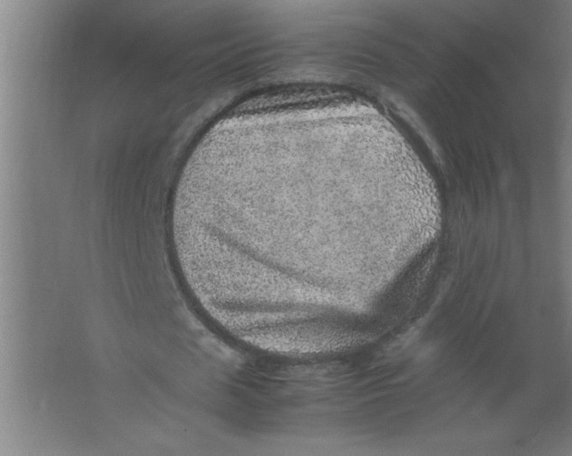 X0000067460625200604281829