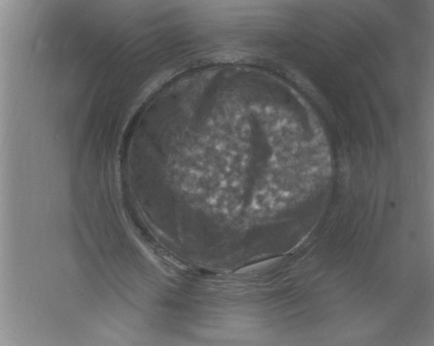 X0000067460626200604281829