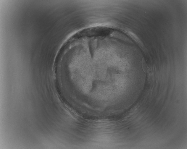 X0000067460628200604281829