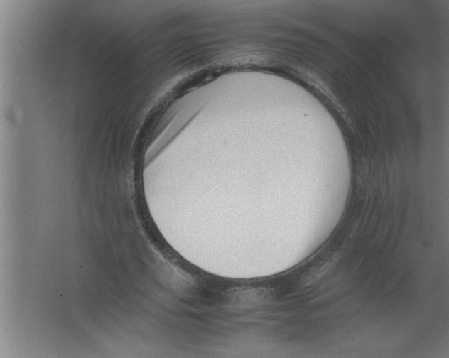 X0000067460629200604281829