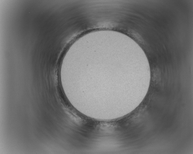 X0000067460632200604281829