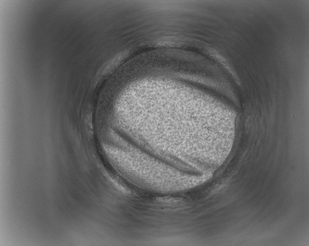 X0000067460633200604281829