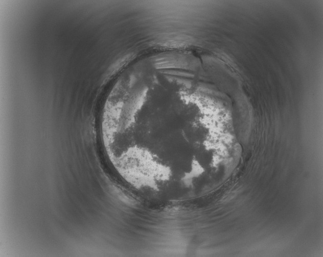 X0000067460634200604281829