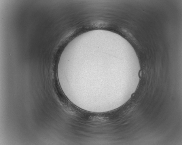 X0000067460635200604281829