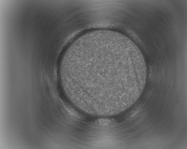 X0000067460636200604281829