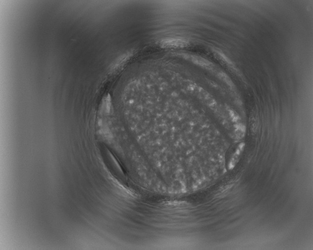 X0000067460637200604281829