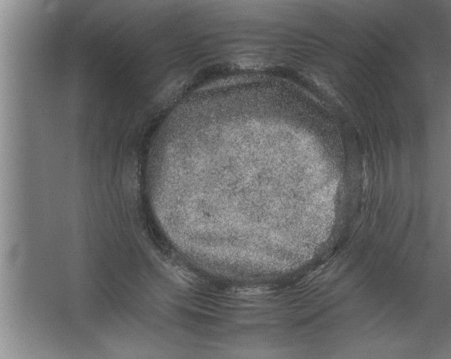 X0000067460639200604281829