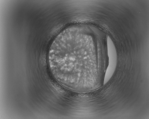 X0000067460640200604281829