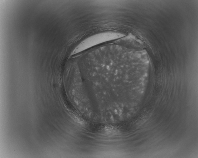 X0000067460641200604281829