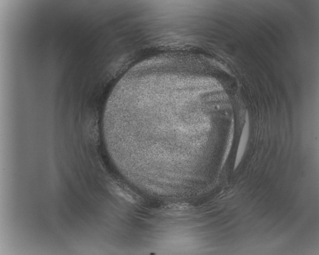 X0000067460642200604281829