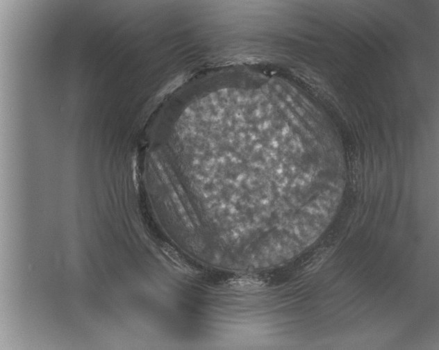 X0000067460644200604281829