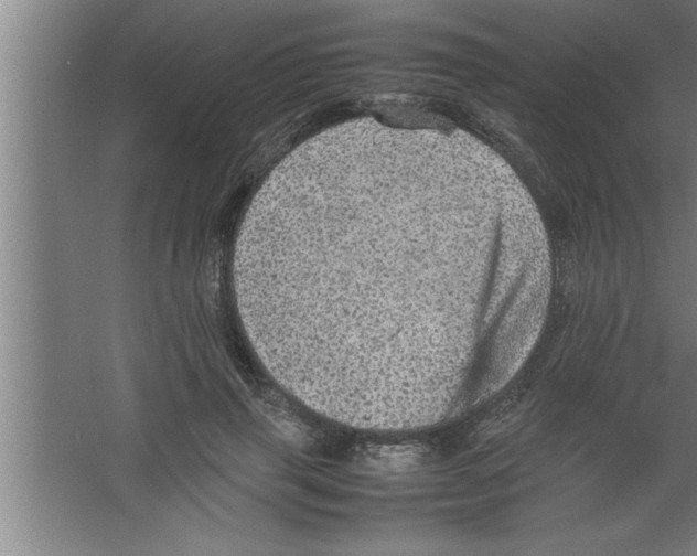 X0000067460645200604281829